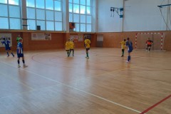 Slavicin_1