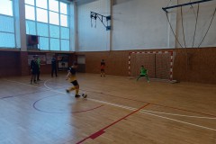 Slavicin_5