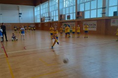 Slavicin_6