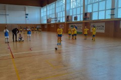 Slavicin_7