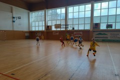 Slavicin_8