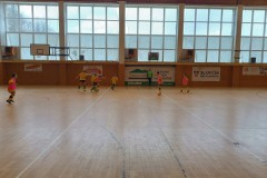 Slavicin_9