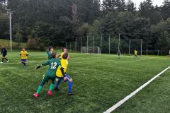 IMG-20250925-WA0006